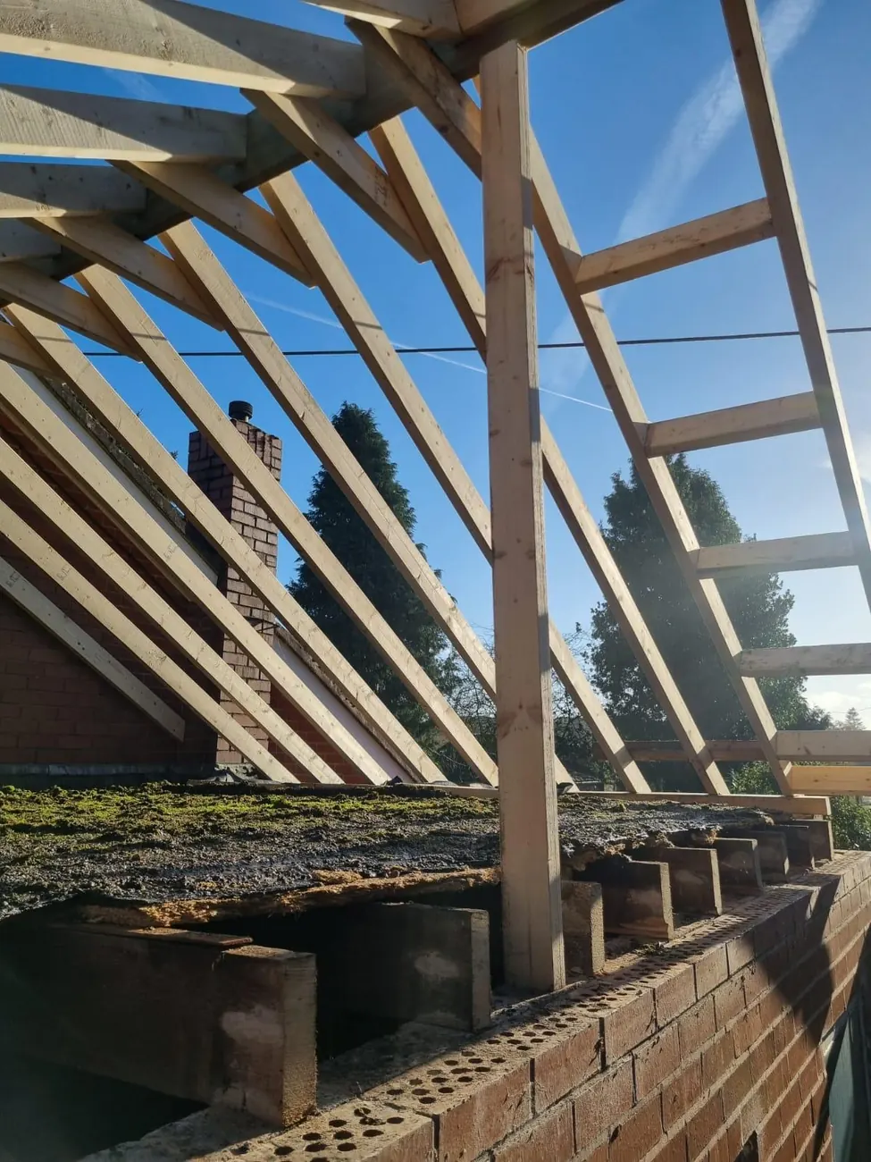 Roof Timber & Framing