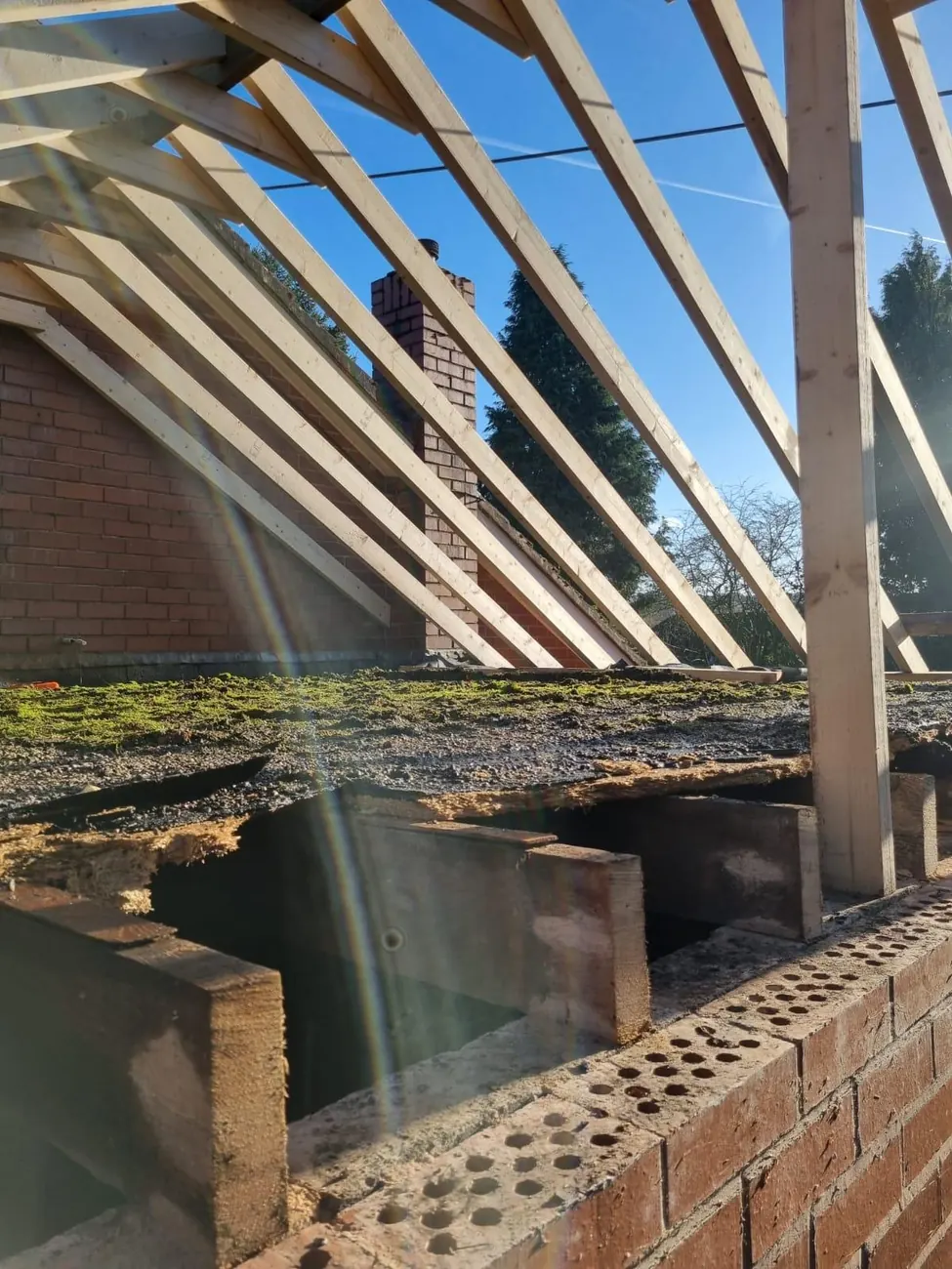New roof framing