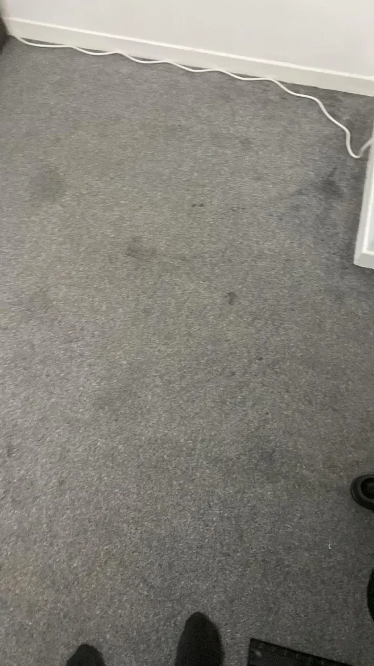 Interior ceiling condition